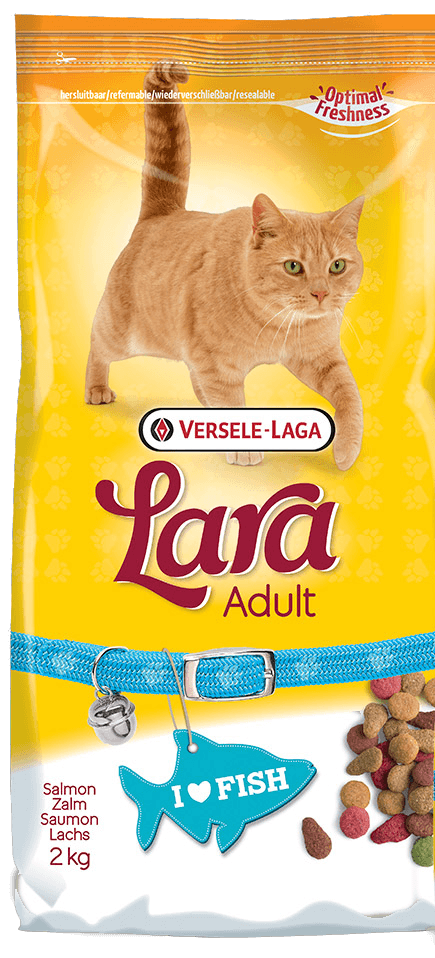 LARA ADULT WITH SALMON