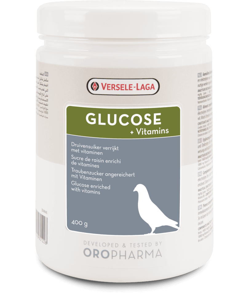 GLUCOSE + VITAMINS - VERSELE LAGA