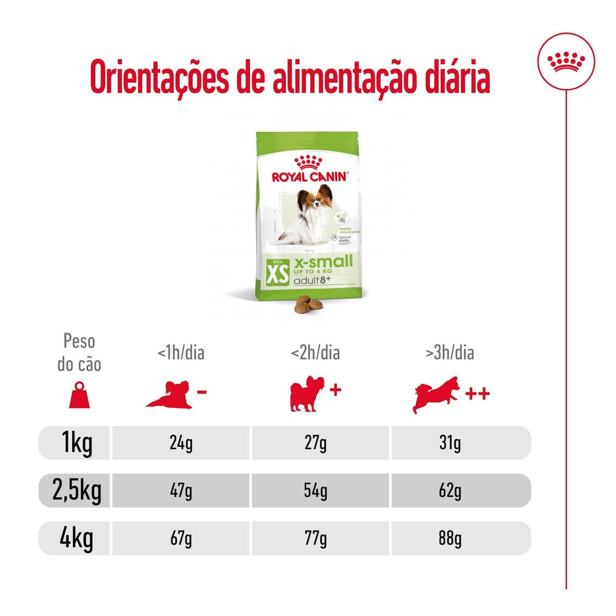 Royal Canin X-Small Adult 8+ - Ração seca para cão muito pequeno com mais de 8 anos - 8