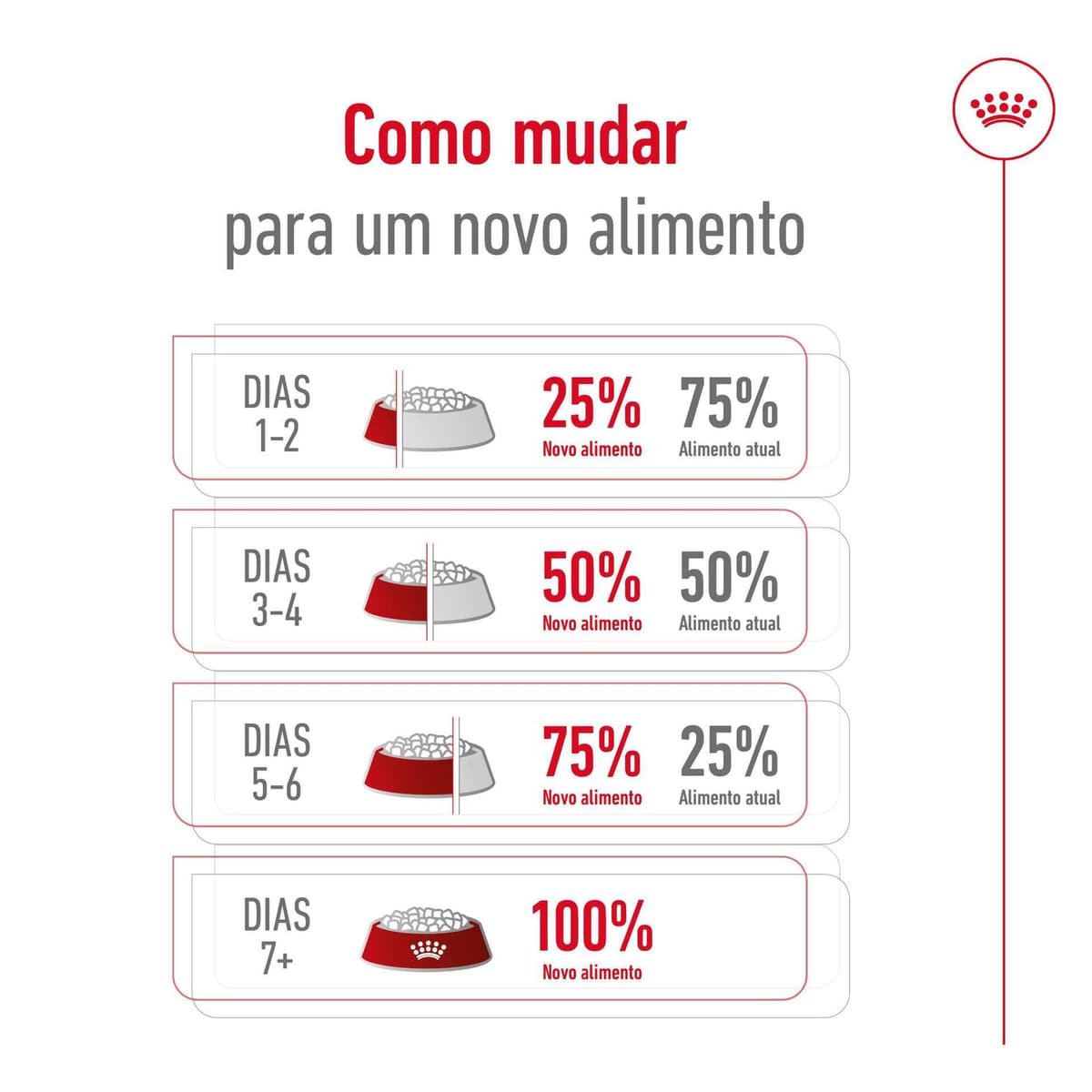 Royal Canin X-Small Adult 8+ - Ração seca para cão muito pequeno com mais de 8 anos - 9