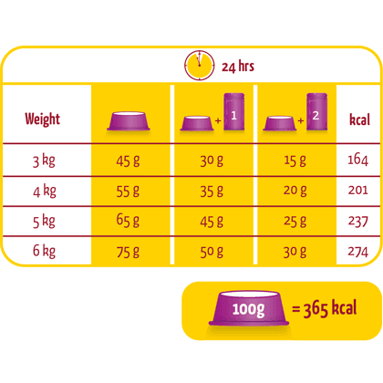 LARA ADULT STERILIZED - 3