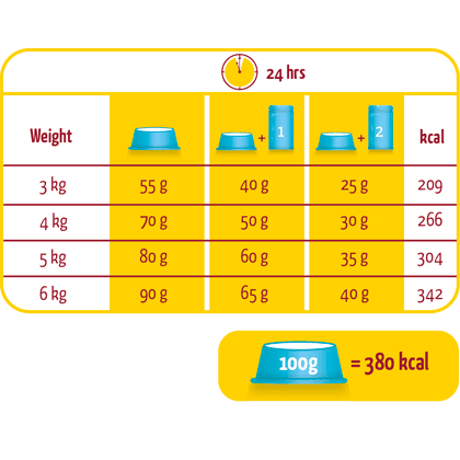 LARA ADULT WITH SALMON - 2