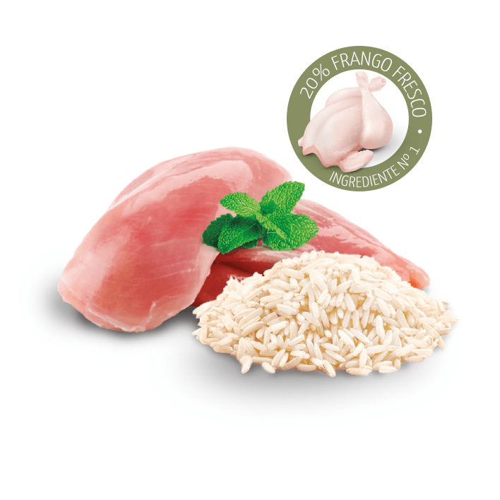 PET CUP CÃO Adulto Mini Premium - 3