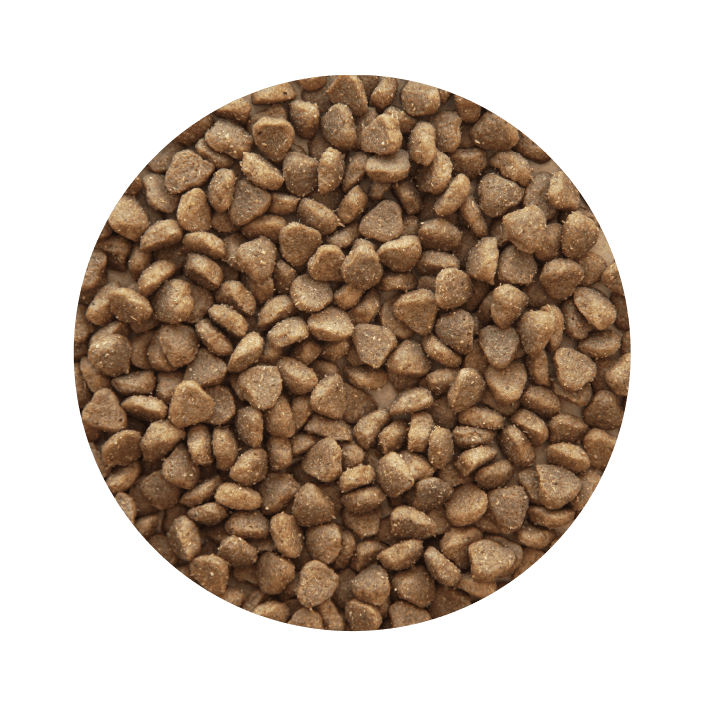 PET CUP CÃO Adulto Mini Premium - 4