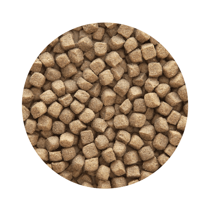 PET CUP CÃO Adulto Premium - 5