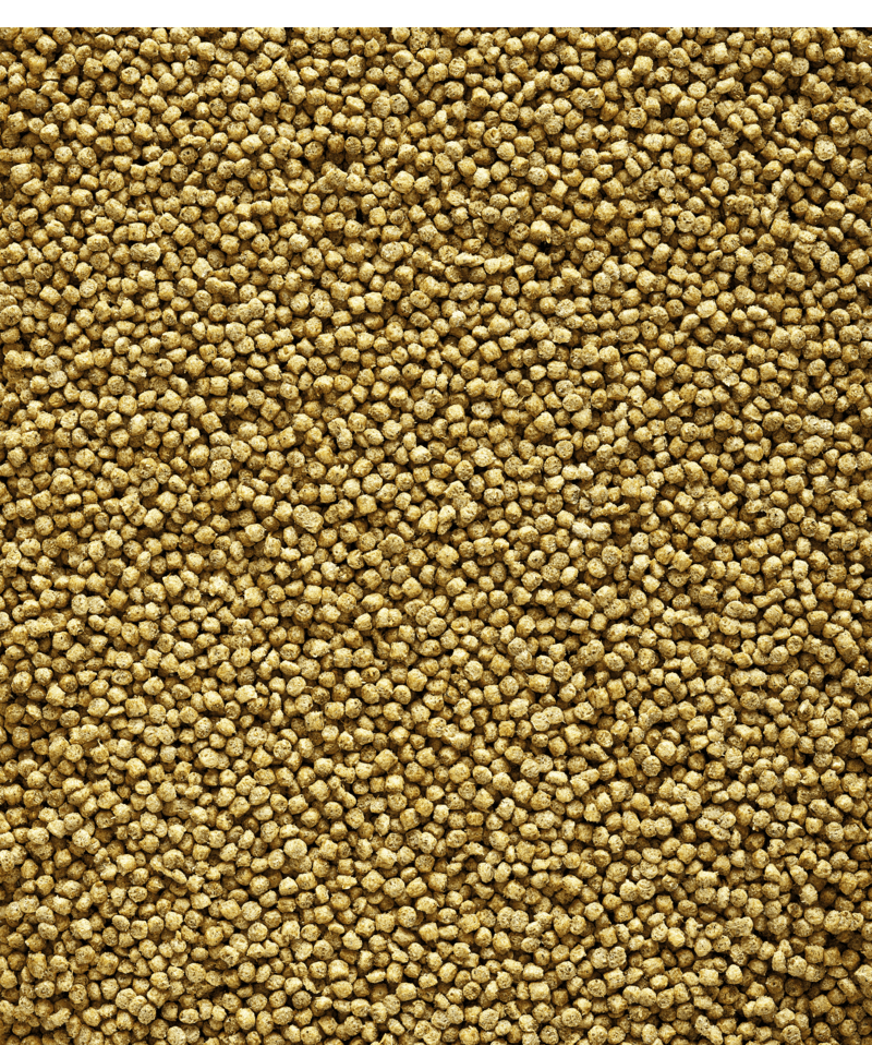 Nutribird C19 ORIGINAL - 2