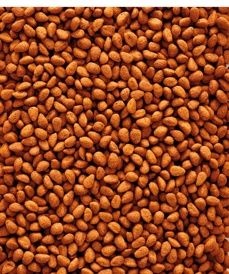 Nutribird G18 ORIGINAL - 2