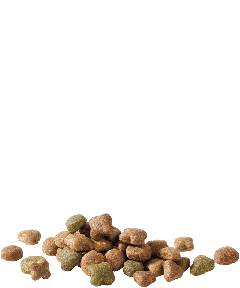 Versele-Laga Happy Life Superior Taste Cão adulto - Beef - 2