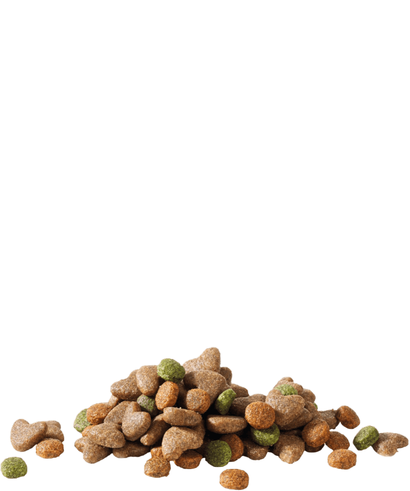 Versele-Laga Happy Life Optimal Growth Cão Junior - 2