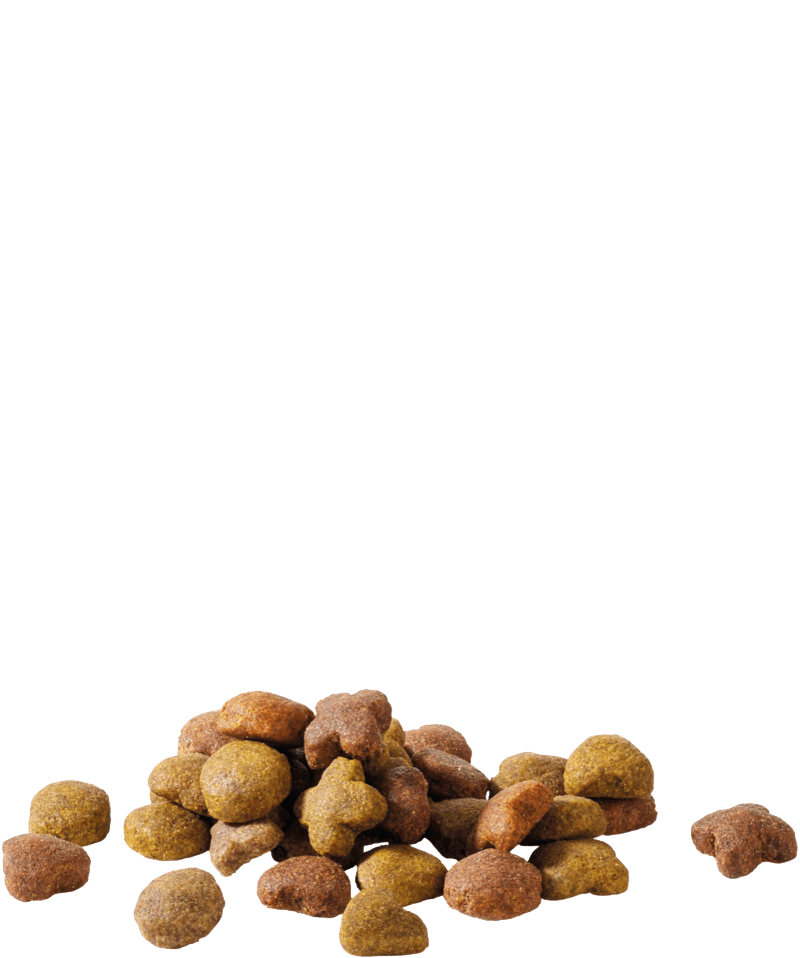 Versele-Laga Happy Life Low Calorie Cão Senior - Chicken - 2