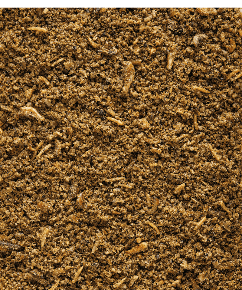 Nutribird INSECT PATEE - 2