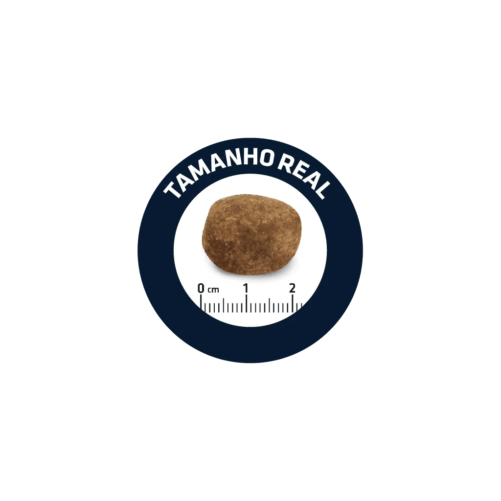 Advance Labrador &amp; Golden Retriever - Ração seca para cão adulto de raça - Frango e arroz - 2