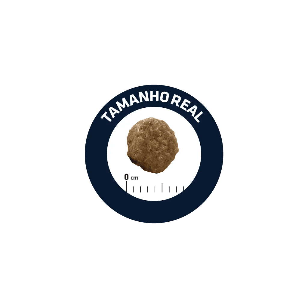 Advance Kitten - Frango e arroz - 2