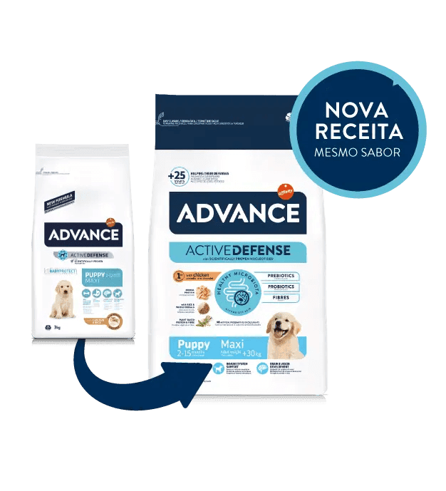 Advance Puppy Maxi - Ração seca para cachorro grande - Frango e arroz