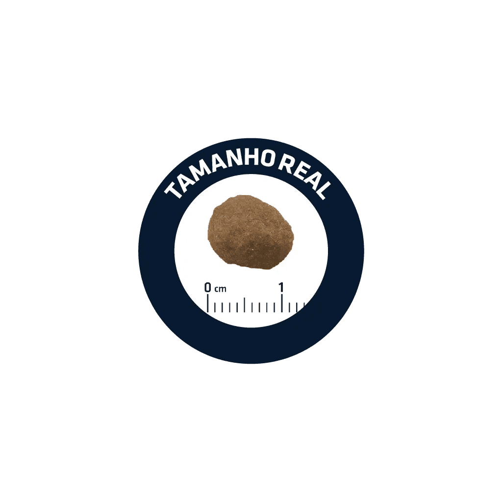 Advance Adult - Frango e arroz - 2