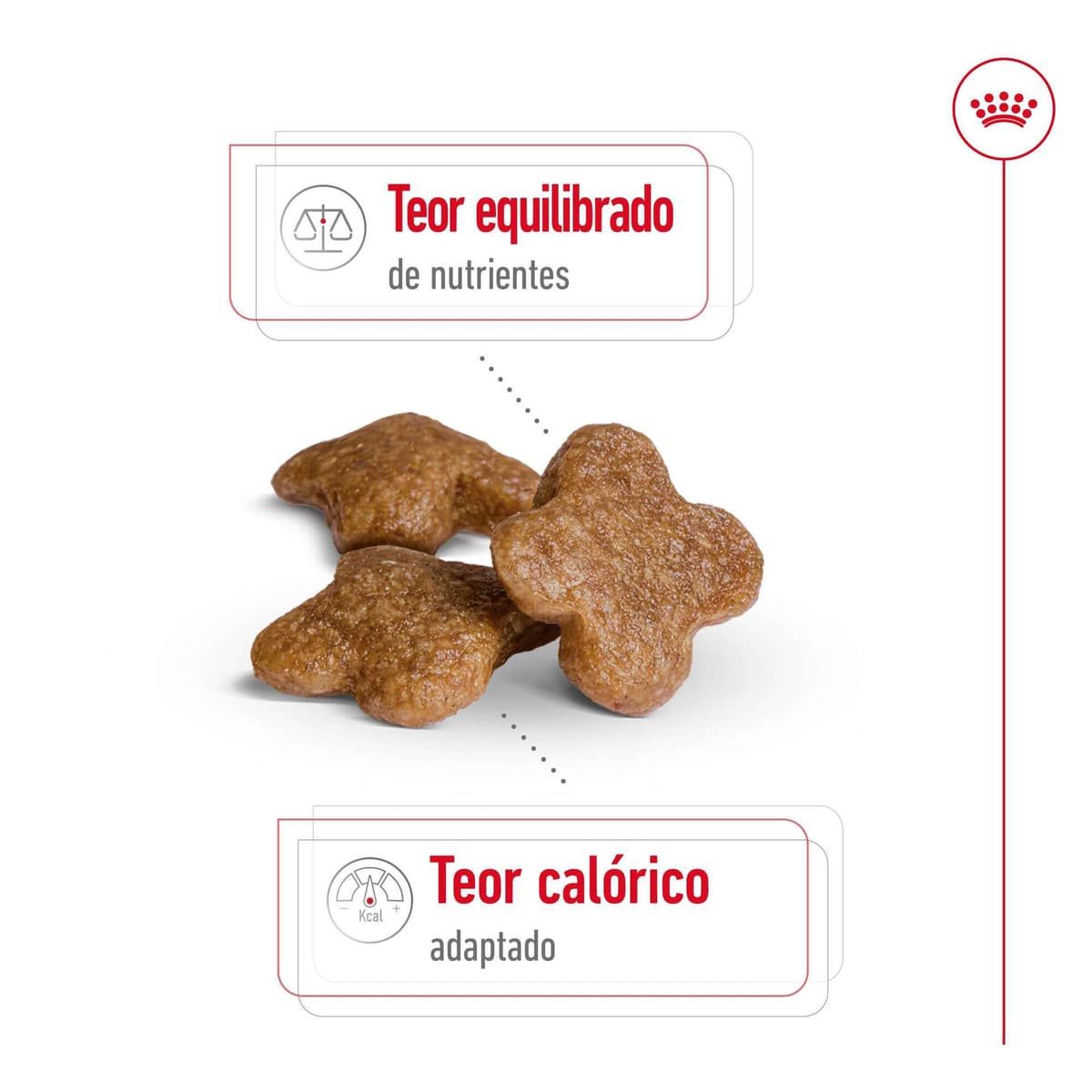Royal Canin Mini Adult 8+ - Ração seca para cão de porte pequeno com mais de 8 anos - 4