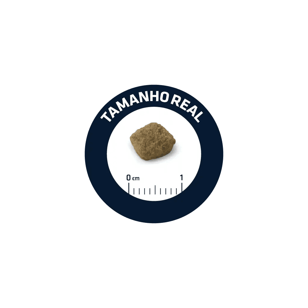 Advance Senior +8 Mini - Ração seca para cão pequeno com mais de 8 anos - Frango e arroz - 2