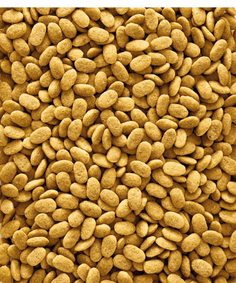 Nutribird P15 ORIGINAL - 2