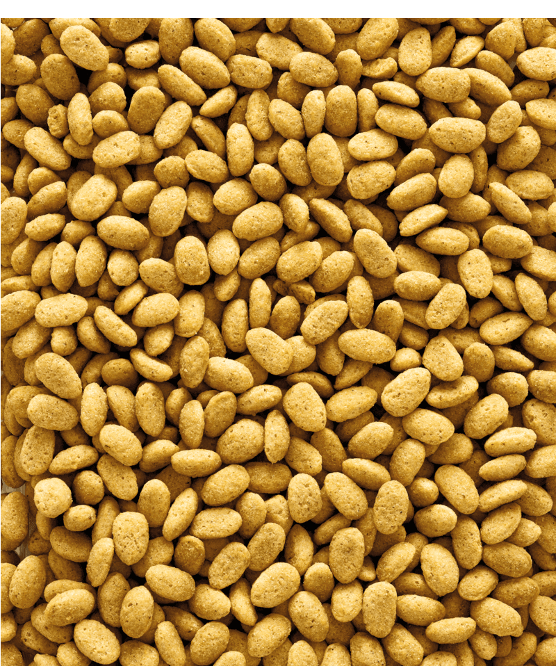 Nutribird P19 ORIGINAL - 2