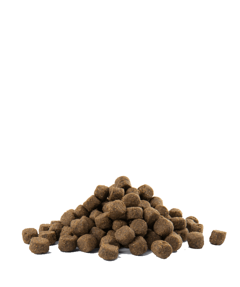 Opti Life Prime Adult - Chicken - 2