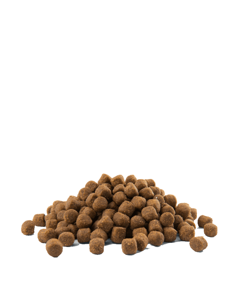 Opti Life Prime Puppy - Chicken - 2