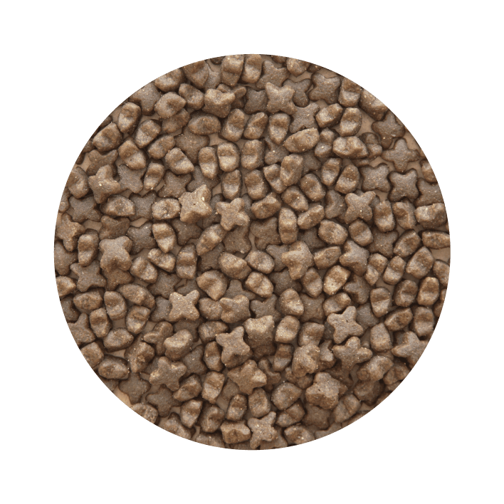 PET CUP CÃO Puppy Premium - 5