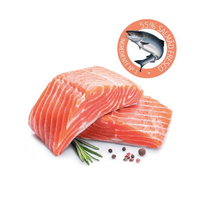 PET CUP Ração para CÃO Salmão Premium - 3