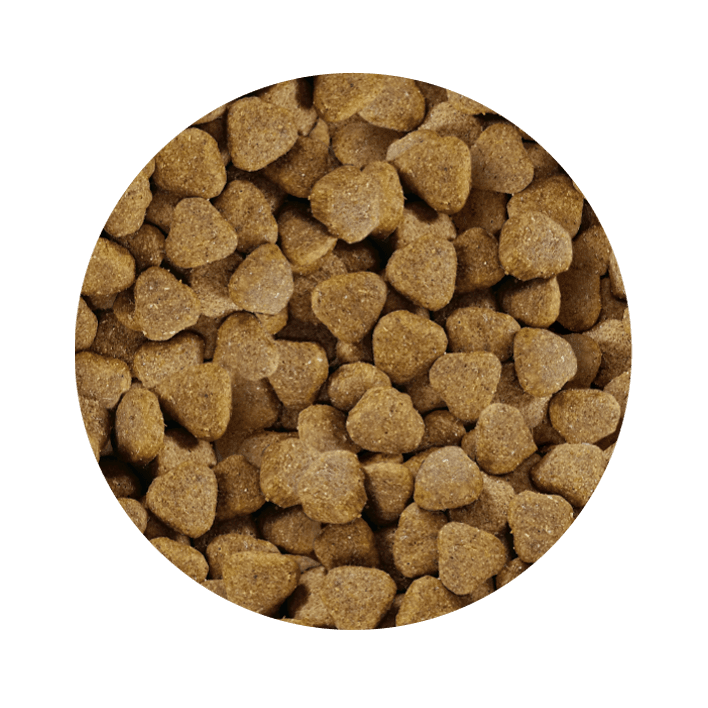 PET CUP Ração para CÃO Salmão Premium - 5