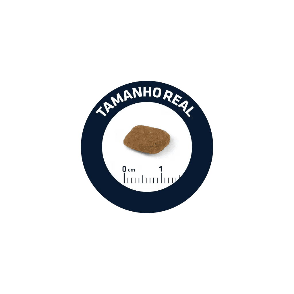 Advance Senior +7 Medium - Ração seca para cão médio com mais de 7 anos - Frango e arroz - 2