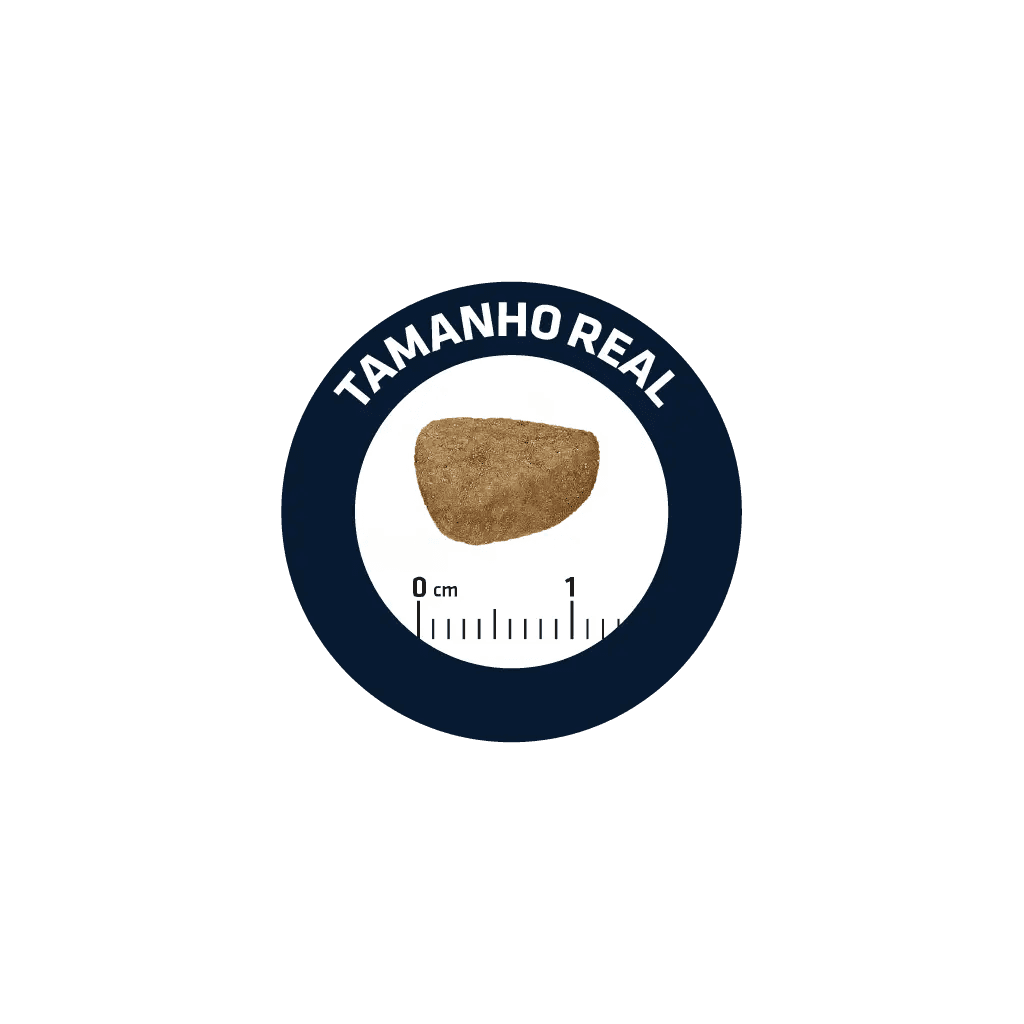 Advance Sterilized Senior - Frango e arroz - 2