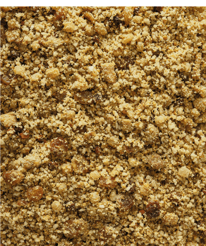 Nutribird TROPICAL FRUIT PATEE - 2