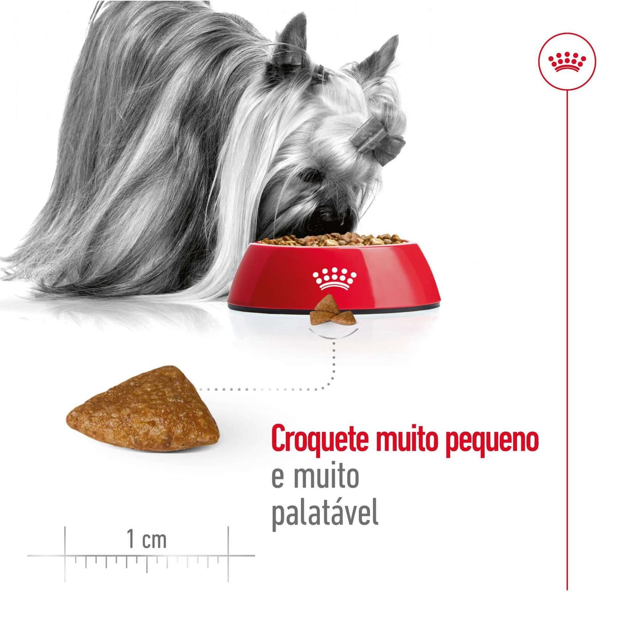 Royal Canin X-Small Adult +12 - Ração seca para cão muito pequeno com mais de 12 anos - 4