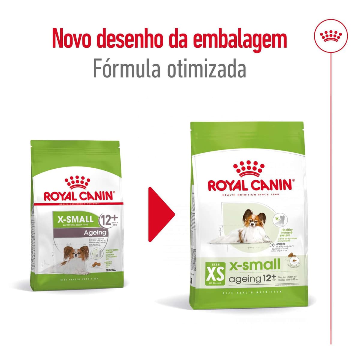 Royal Canin X-Small Adult +12 - Ração seca para cão muito pequeno com mais de 12 anos