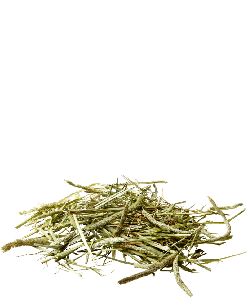 FENO NATURE TIMOTHY HAY - Versele-Laga - 2