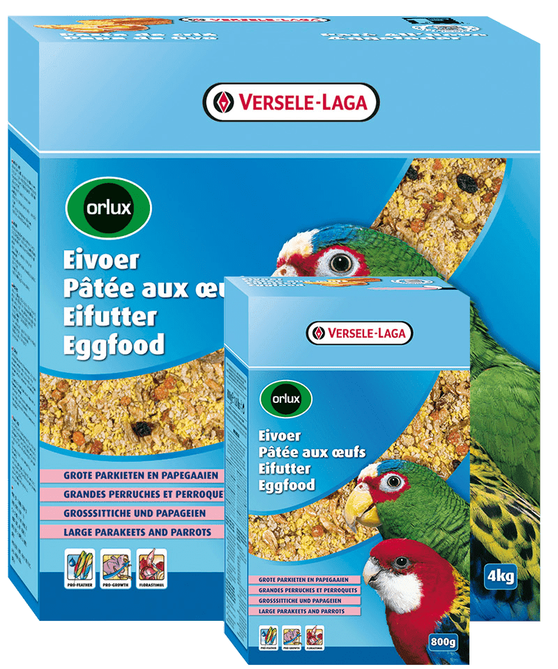 PAPA SECA GRANDES PERIQUITOS - VERSELE-LAGA