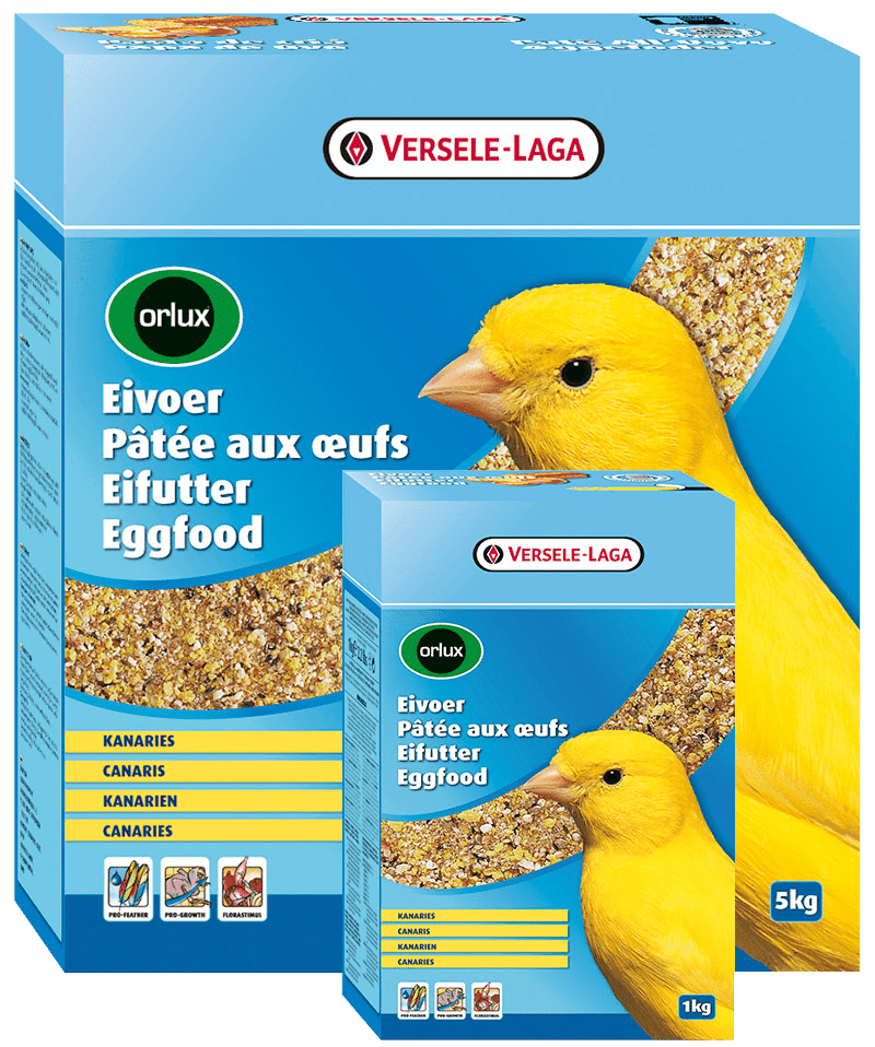 PAPA AMARELA SECA - VERSELE-LAGA