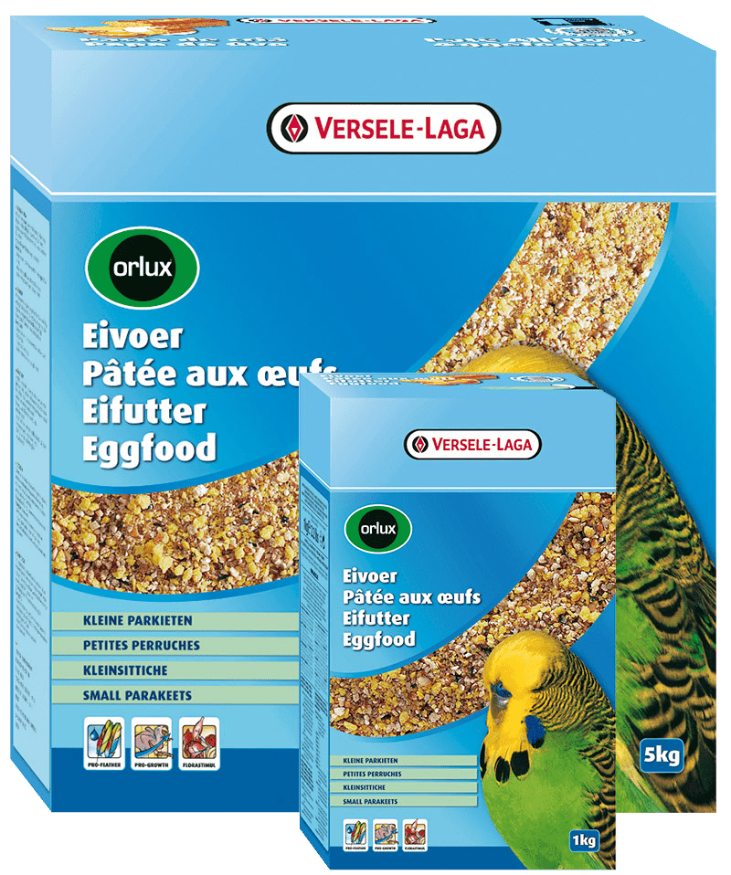 PAPA SECA PERIQUITOS - VERSELE-LAGA