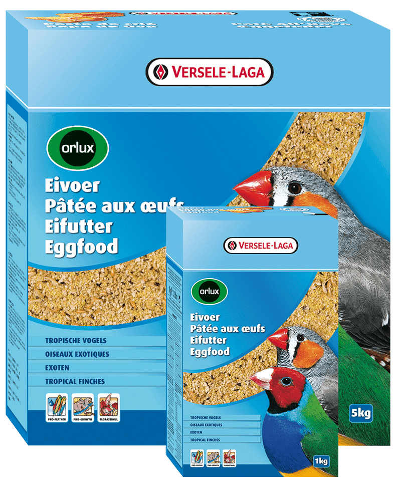 PAPA SECA EXÓTICOS - VERSELE-LAGA