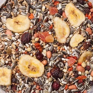 Deli Nature 22 - Amazonia - 2