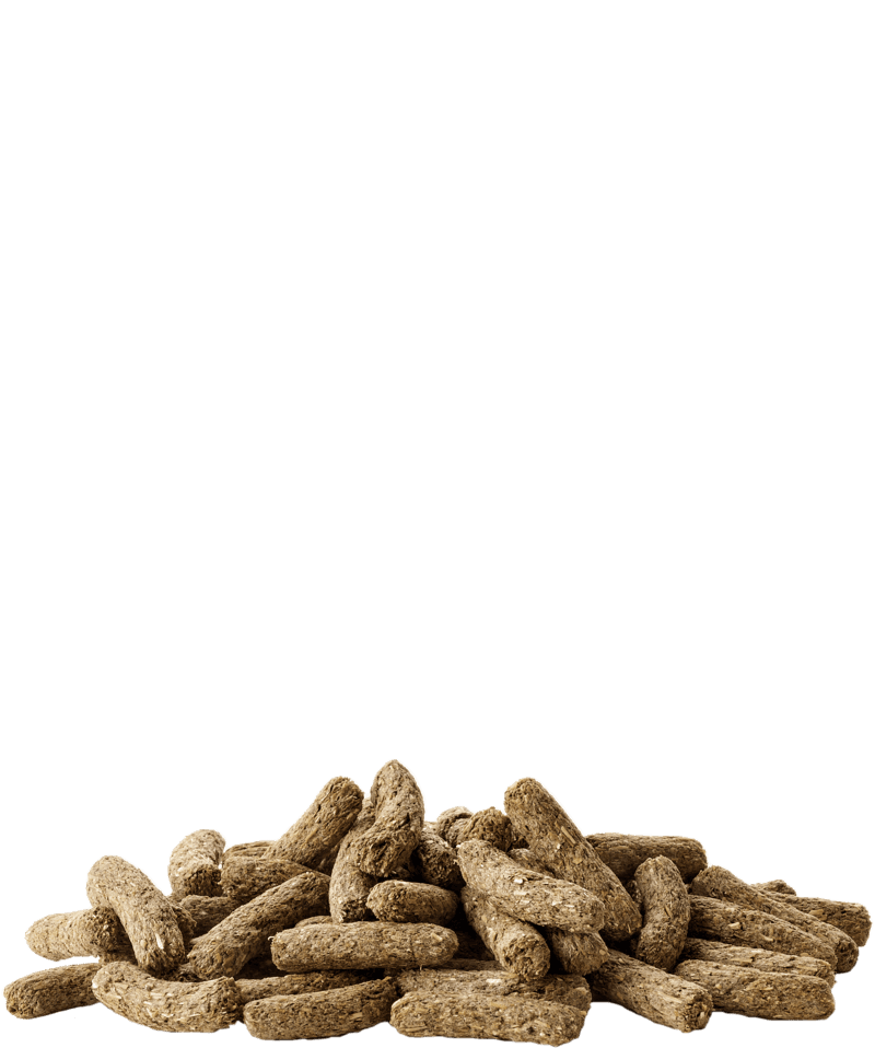 CUNI ADULT COMPLETE - Versele-Laga - 2