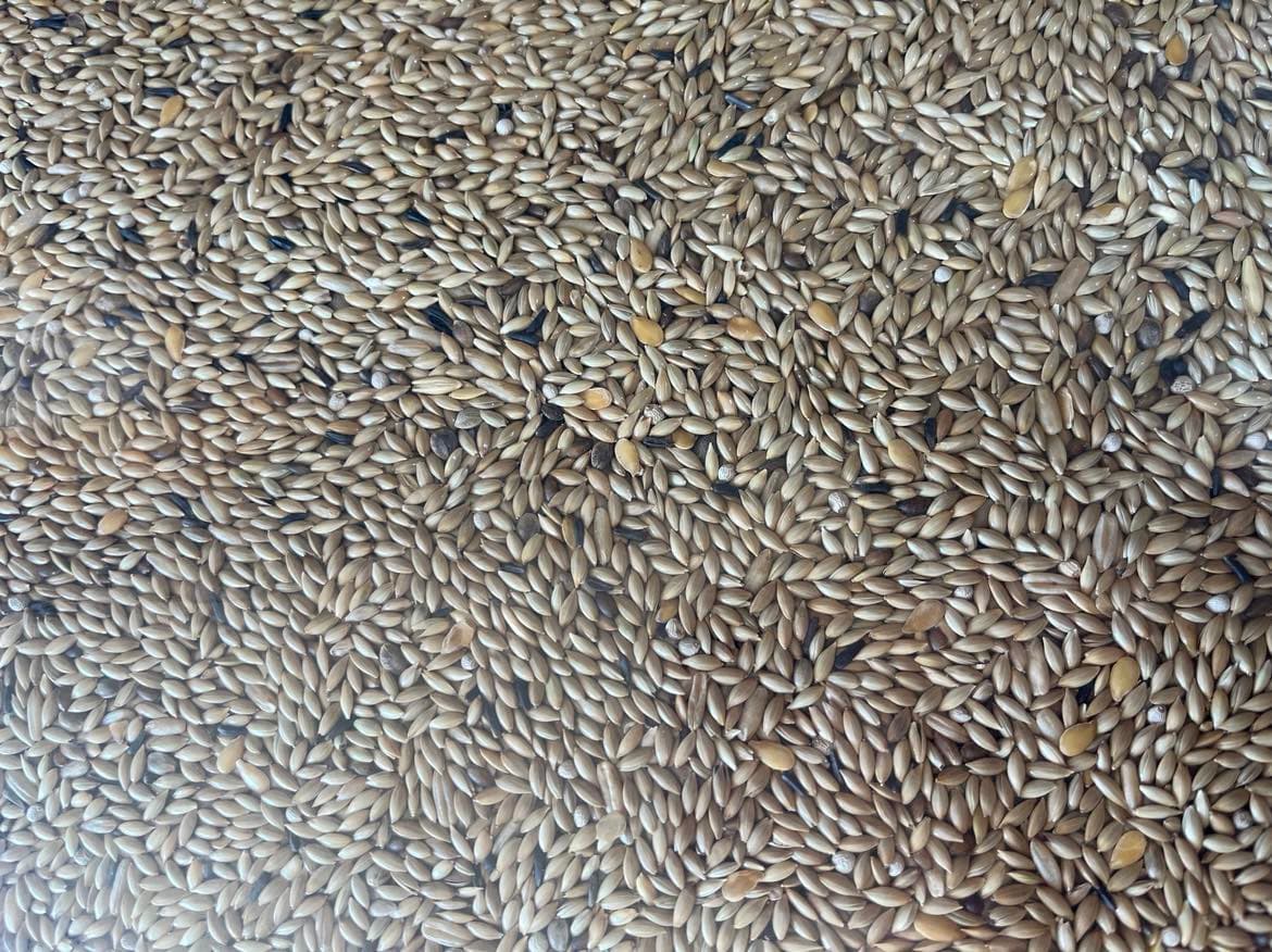 CONCEITO ANIMAL Mistura Periquitos Premium - 2