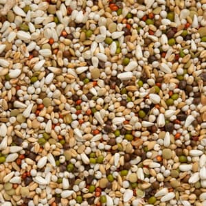 Deli Nature 33 - Grãos de Germinação - 2