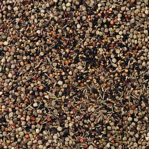 Deli Nature 94 - Sementes Selvagens - 2