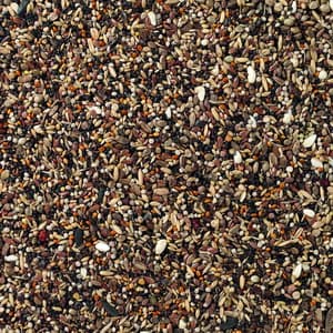 Deli Nature 96 - Dom-Fafe - 2