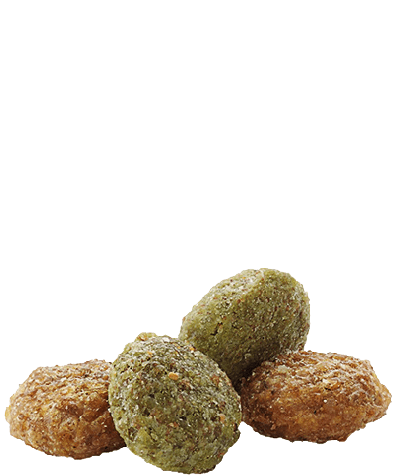 HAMSTER &amp; GERBIL COMPLETE - Versele-Laga - 2