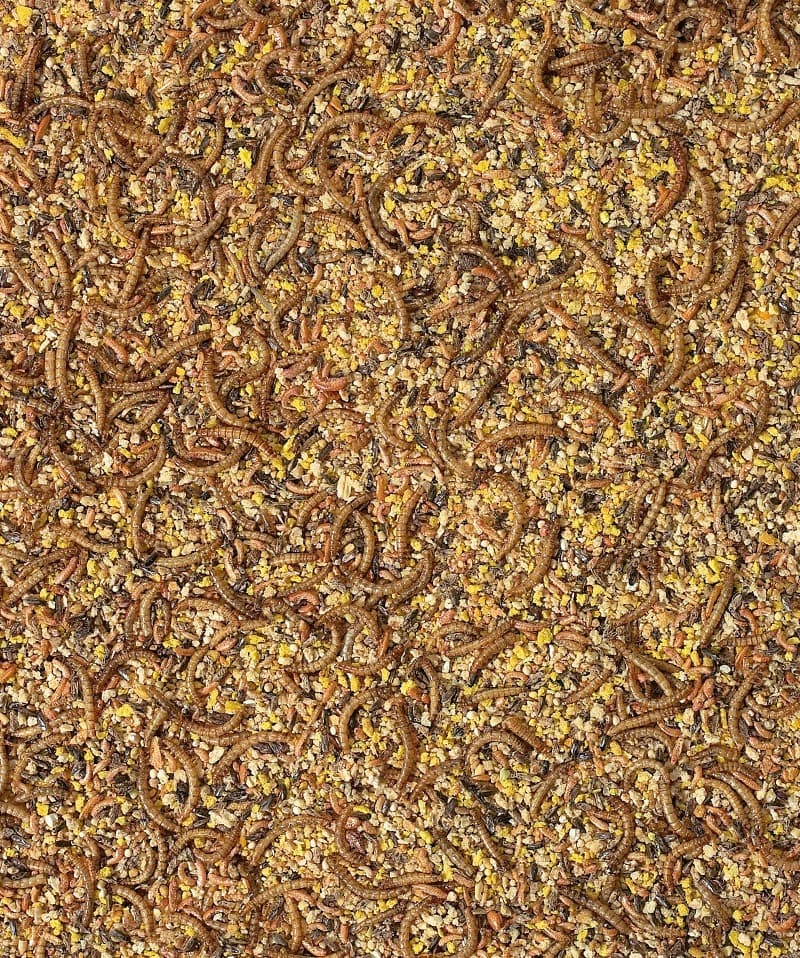 PAPA SECA PARA AVES ORNAMENTAIS - ORLUX VERSELE-LAGA - 2