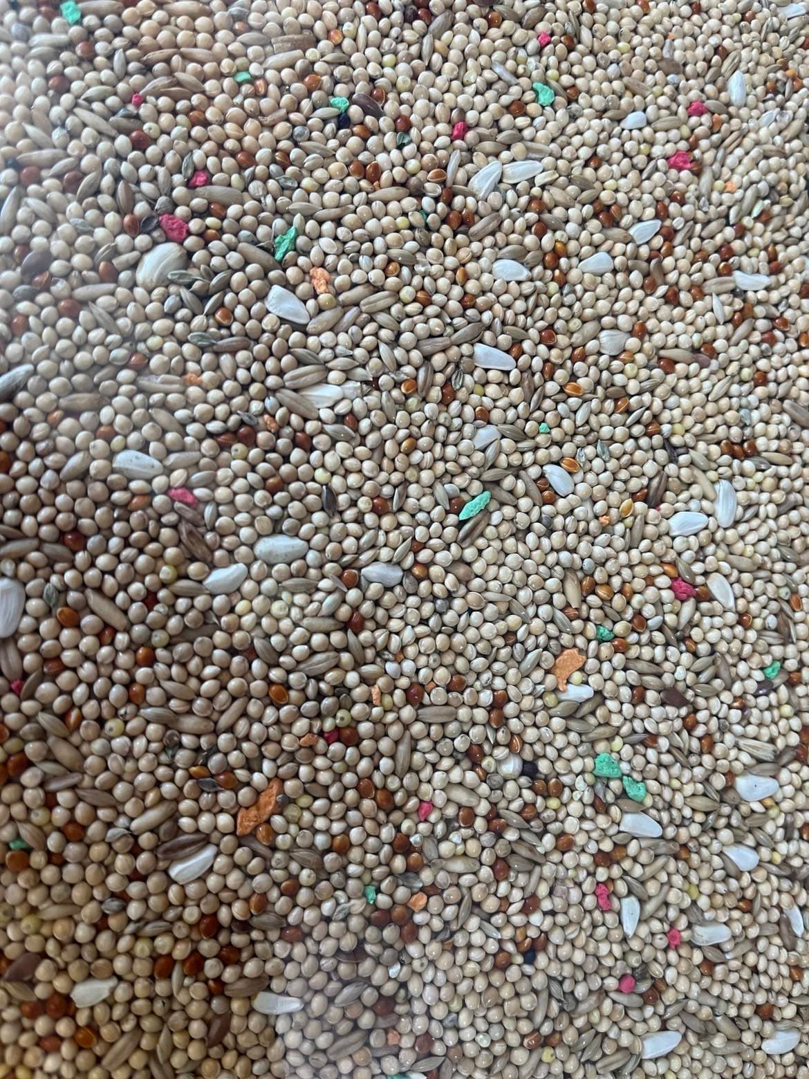 CONCEITO ANIMAL Mistura Periquitos - 2