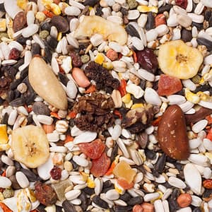 Deli Nature 23 - Pantanal - 2