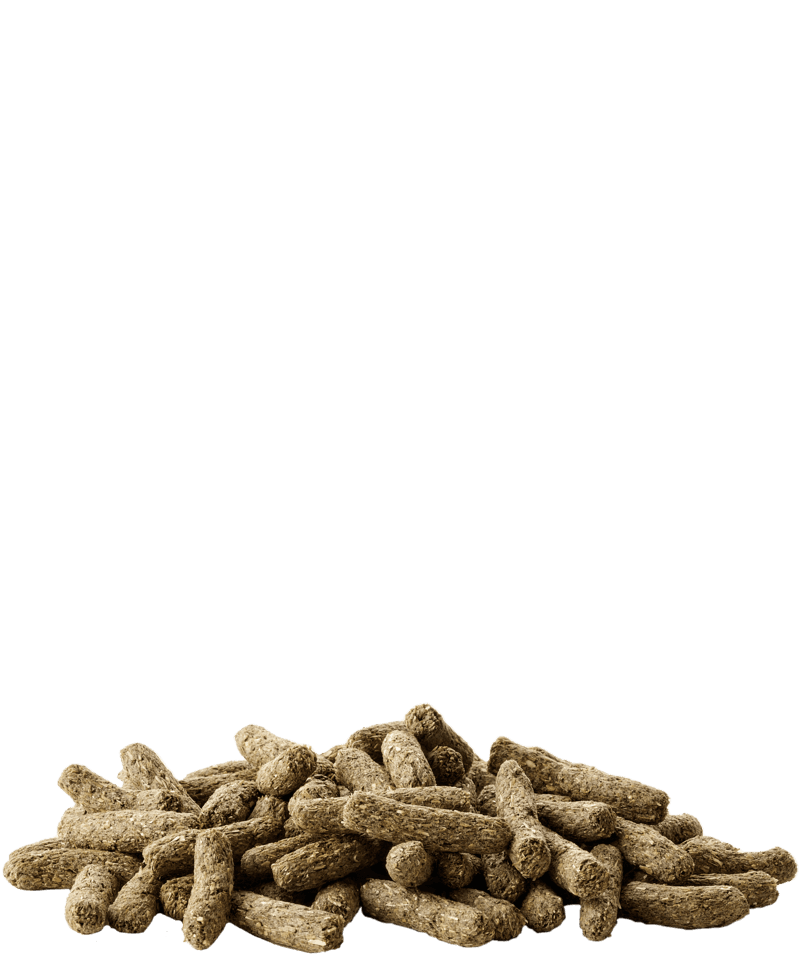 CUNI SENSITIVE COMPLETE - Versele-Laga - 2