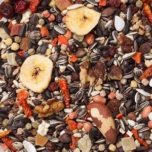 Deli Nature 20 - Serengeti - 2